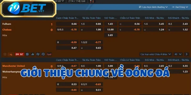Bóng Đá - Môn thể thao Vua có sức hút toàn cầu 2025 2 bong-da