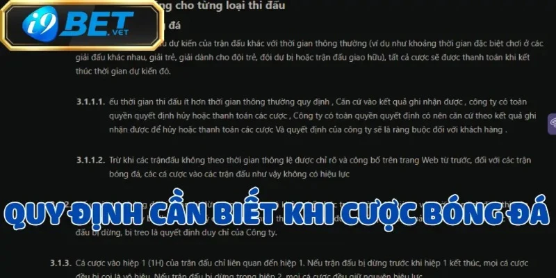 Bóng Đá - Môn thể thao Vua có sức hút toàn cầu 2025 3 bong-da