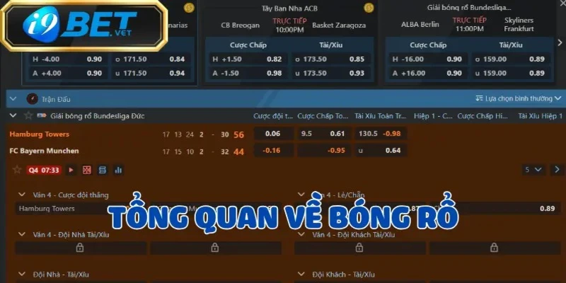 Bóng rổ – Môn thể thao hấp dẫn với chiến thuật tinh tế 2 bong-ro
