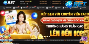 giay to cap phep hoat dong cua nha cai i9bet