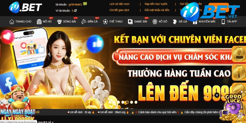 giay to cap phep hoat dong cua nha cai i9bet