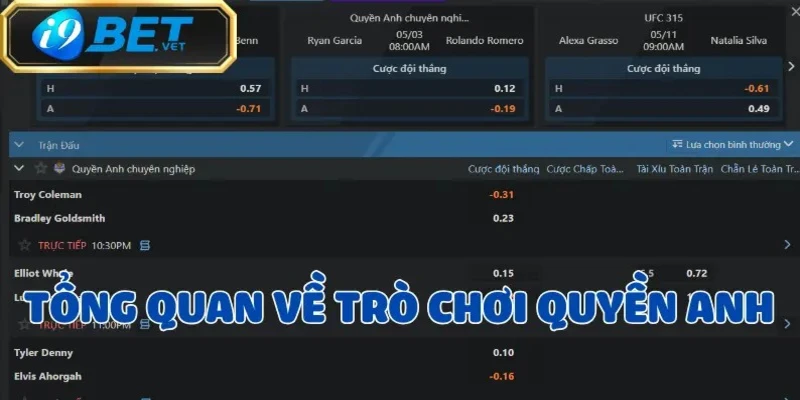 Quyền Anh – Tận hưởng thế giới võ thuật đỉnh cao 2025 2 quyen-anh